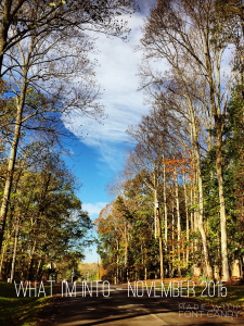 Pic. What I'm Into. November 2015