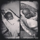 Like Mother, Like Son