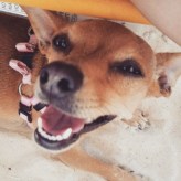 buffy_geeky_shopaholic