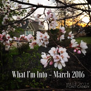 What I'm Into. March 2016