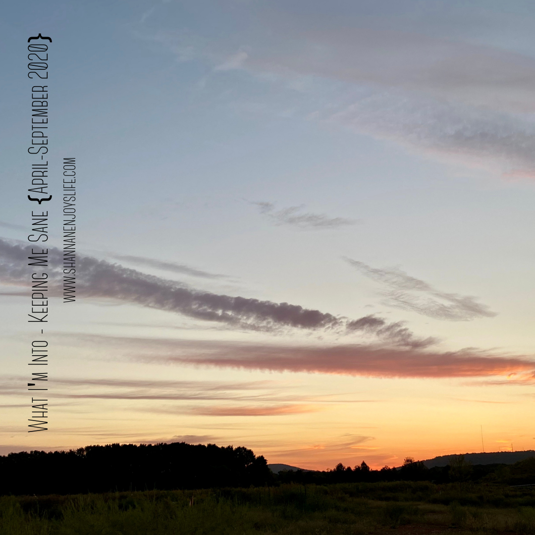 What I'm Into {April-September 2020}