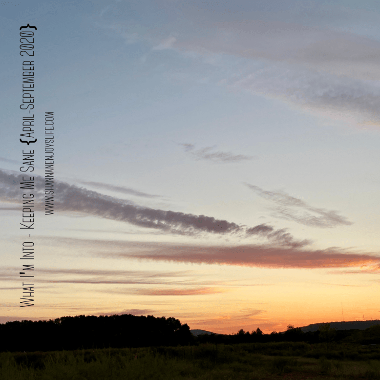 What I'm Into {April-September 2020}