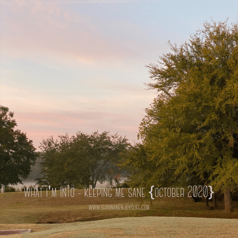 what i'm into - keeping me sane {october 2020}